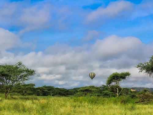 3 Day Safari