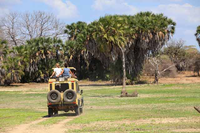 4 Day Safari