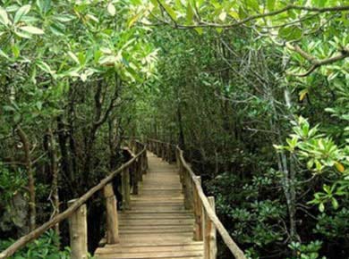 5 Days Zanzibar Tour