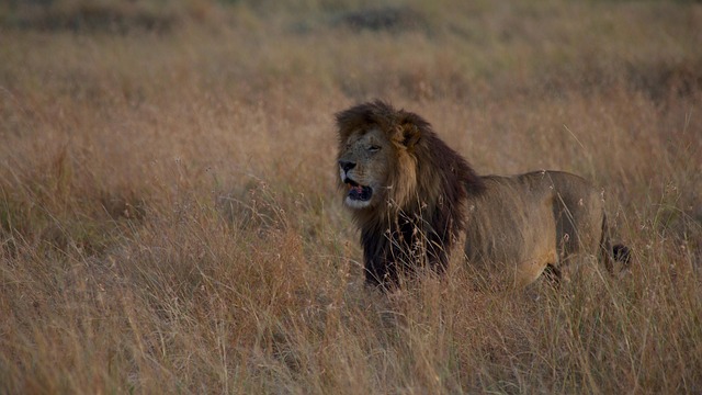 2 Days Safari Arusha National Park and Lake Manyara